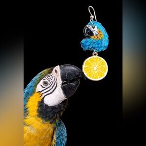 Blue Gold macaw parrot handpainted earrings metal charm sterling wires OOAK